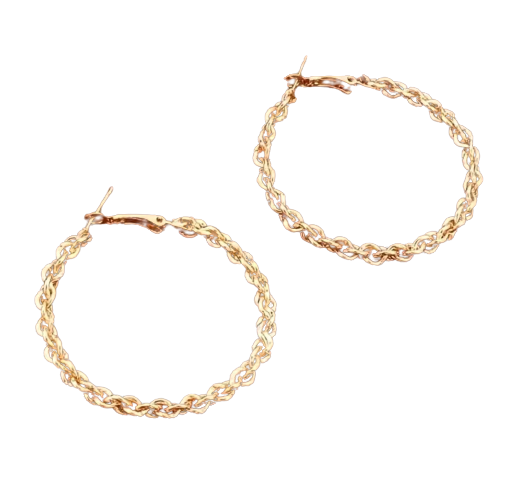 Twisted Hoop Earrings